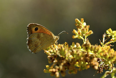 BUITEN BEELD Foto: 282463