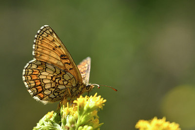 BUITEN BEELD Foto: 282471