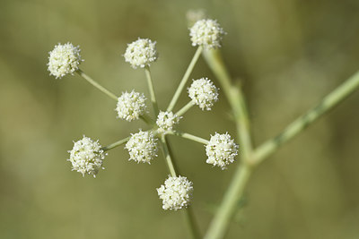 BUITEN BEELD Foto: 282482