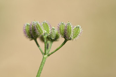 BUITEN BEELD Foto: 282486