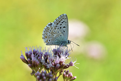 BUITEN BEELD Foto: 282543