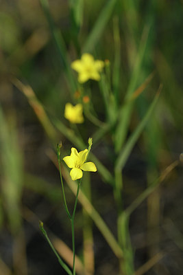 BUITEN BEELD Foto: 282548