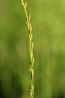 BUITEN BEELD Foto: 282556