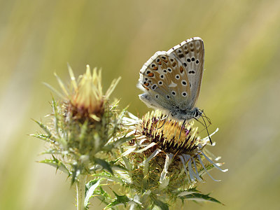 BUITEN BEELD Foto: 282567