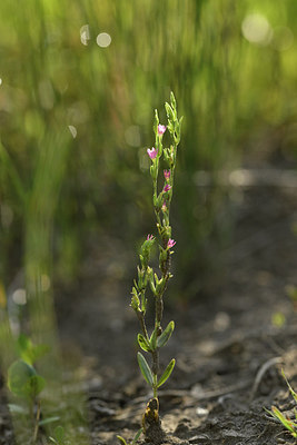 BUITEN BEELD Foto: 282574