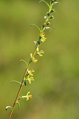 BUITEN BEELD Foto: 282576