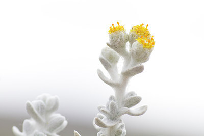 BUITEN BEELD Foto: 282584