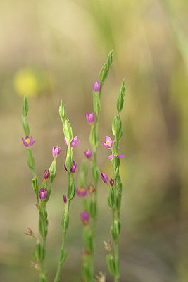 BUITEN BEELD Foto: 282585