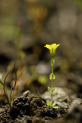 BUITEN BEELD Foto: 282651