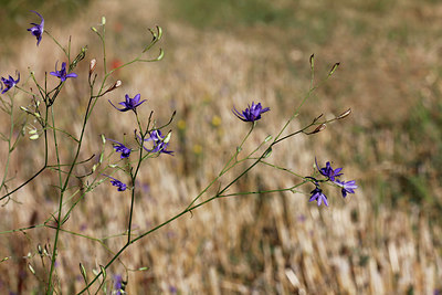 BUITEN BEELD Foto: 282663