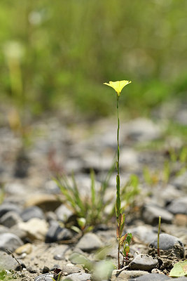 BUITEN BEELD Foto: 282672