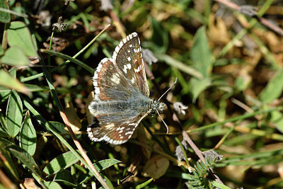 BUITEN BEELD Foto: 282705