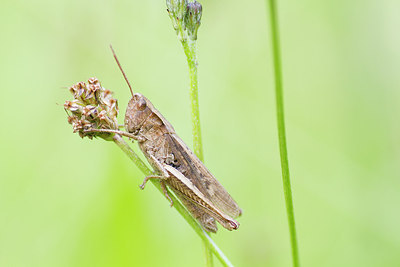 BUITEN BEELD Foto: 282723