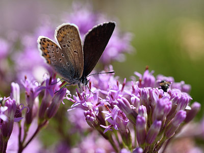 BUITEN BEELD Foto: 282738