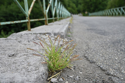 BUITEN BEELD Foto: 282755
