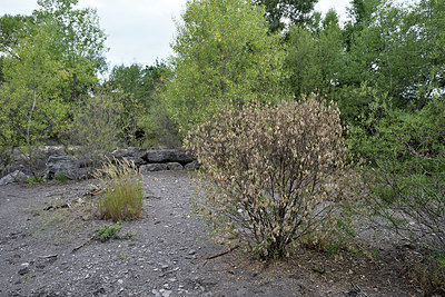 BUITEN BEELD Foto: 282757