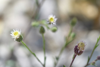 BUITEN BEELD Foto: 282795