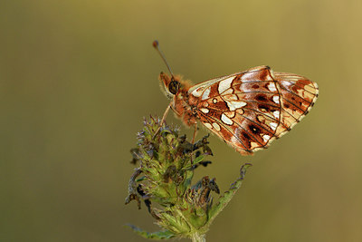 BUITEN BEELD Foto: 282802