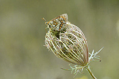 BUITEN BEELD Foto: 282804
