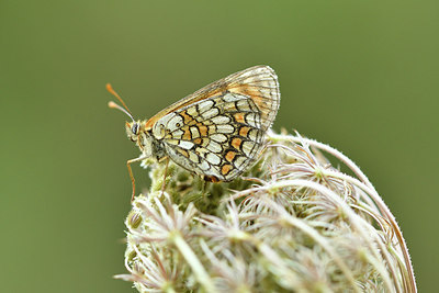 BUITEN BEELD Foto: 282806