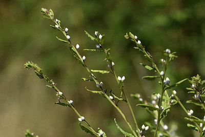 BUITEN BEELD Foto: 282815