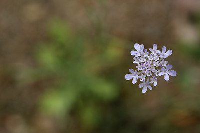 BUITEN BEELD Foto: 282846
