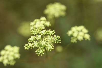 BUITEN BEELD Foto: 282866