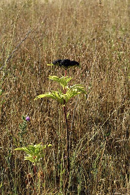 BUITEN BEELD Foto: 282882