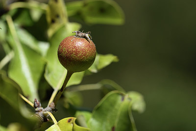 BUITEN BEELD Foto: 282924