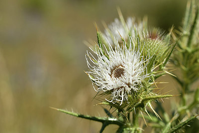 BUITEN BEELD Foto: 282934