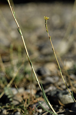 BUITEN BEELD Foto: 282942