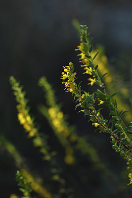 BUITEN BEELD Foto: 282946