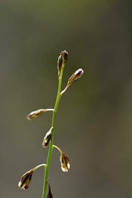 BUITEN BEELD Foto: 282951