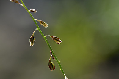 BUITEN BEELD Foto: 282952