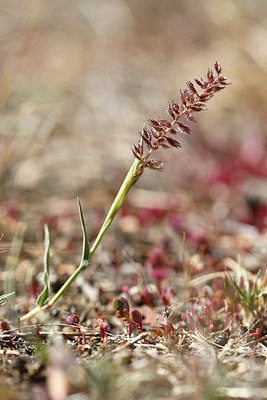 BUITEN BEELD Foto: 282958