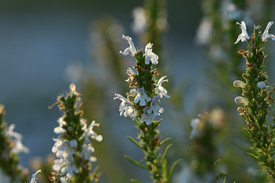 BUITEN BEELD Foto: 282959