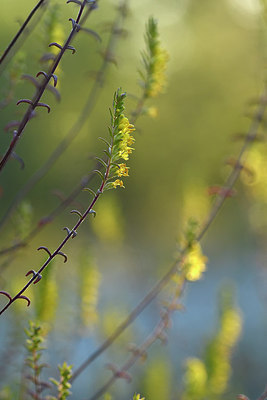 BUITEN BEELD Foto: 282965