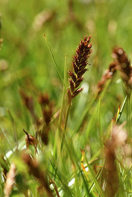 BUITEN BEELD Foto: 282999