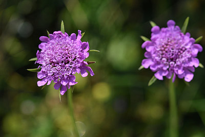BUITEN BEELD Foto: 283002