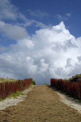 BUITEN BEELD Foto: 283020