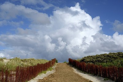 BUITEN BEELD Foto: 283021