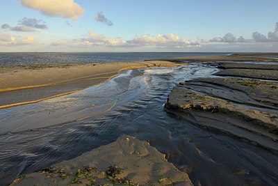 BUITEN BEELD Foto: 283023