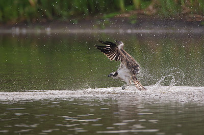 BUITEN BEELD Foto: 283077