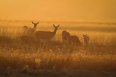 BUITEN BEELD Foto: 283090