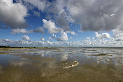 BUITEN BEELD Foto: 283114