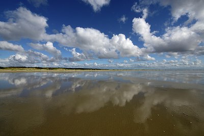 BUITEN BEELD Foto: 283115