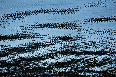 BUITEN BEELD Foto: 283120