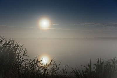 BUITEN BEELD Foto: 283177