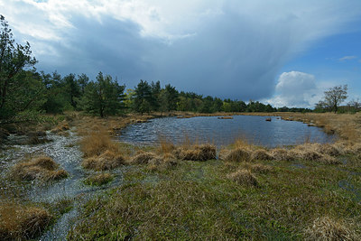 BUITEN BEELD Foto: 283180