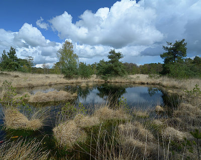 BUITEN BEELD Foto: 283181